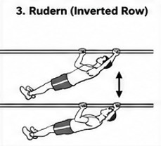 Kraft Übung 3: Rudern (Inverted Row)